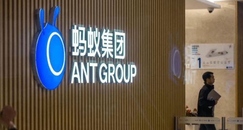 马云果然兑现了 承诺