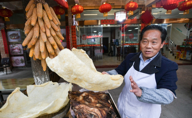 把家园建设得更加美好--以习近平同志为核心的党中央关心汶川特大地震灾后恢复重建发展纪实