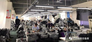 市场调研 都说洛阳服装发展快,一起来聊聊