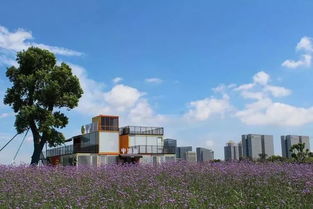 十一假期倒计时！明湖花海平湖派咖啡馆邀您共赴帐篷节与饮品盛宴