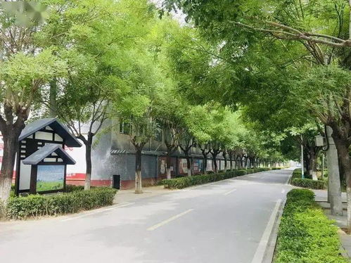 《我和我的家乡·顺义篇》暖心献映 亲人们，共赴光影家园之旅